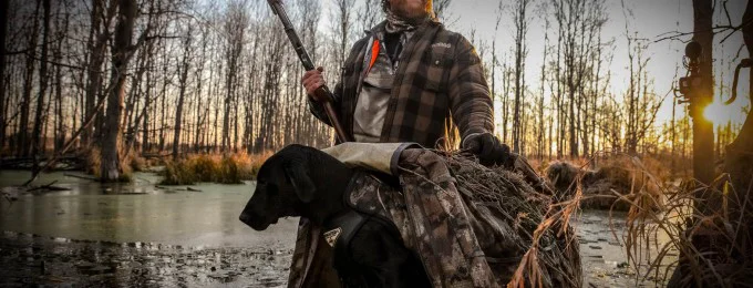 Gun/Bird Dog