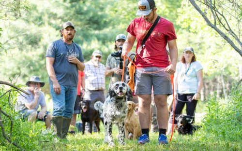 group dog training session focused on real-world obedience and handling