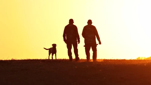 hunting_dog_and_hunter_the_sunset-85a5