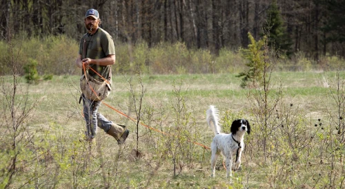 jeremy_moore_training_an_english_setter