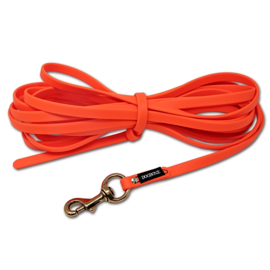 long dog leash 30 feet